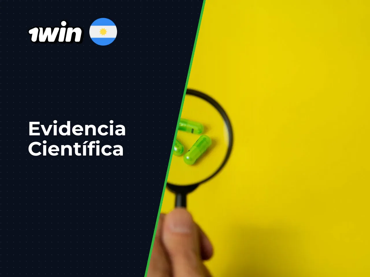 Evidencia científica sobre los riesgos del